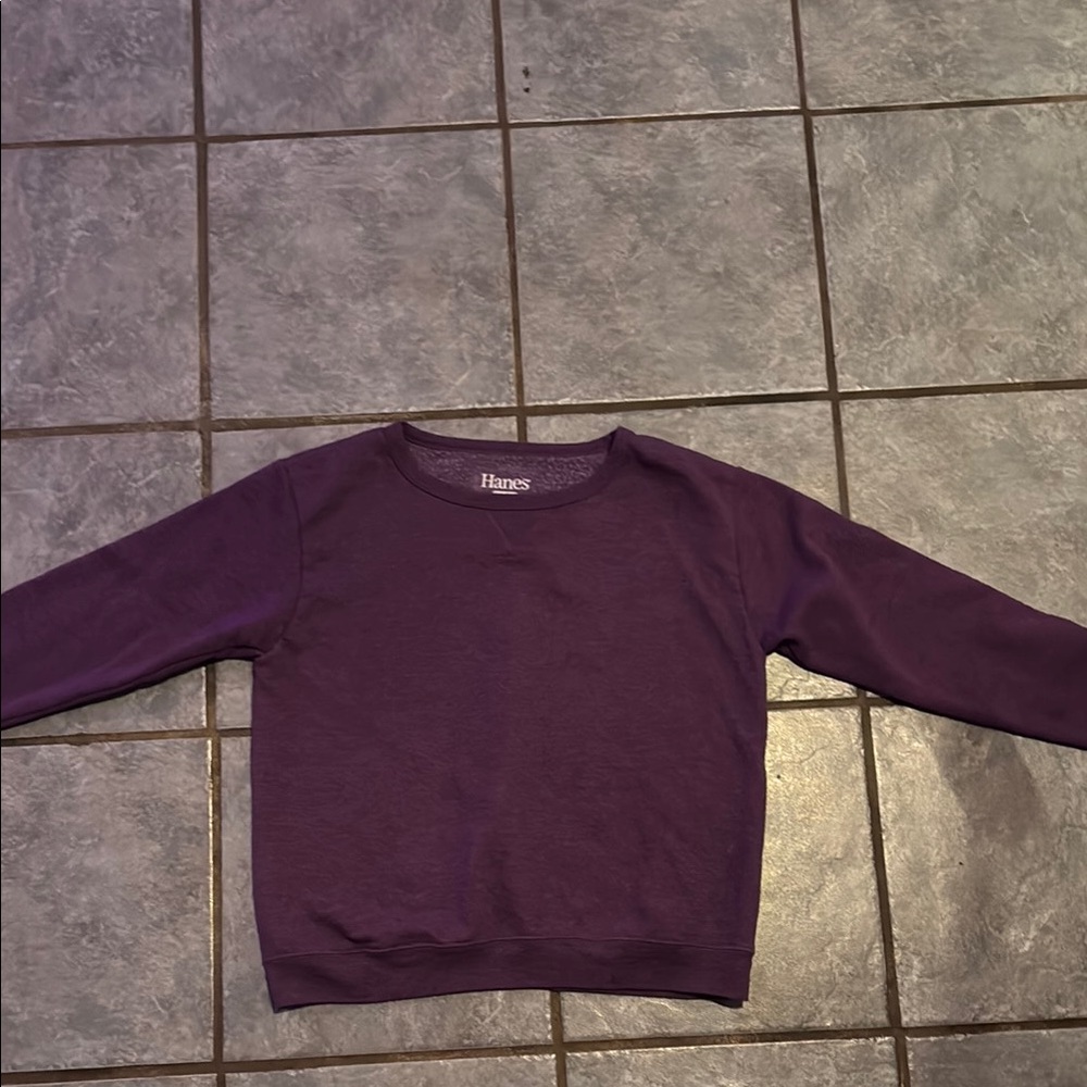 Hanes Purple Sweatshirt